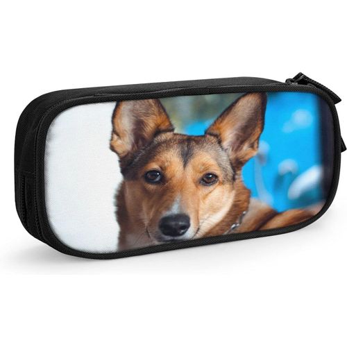 Trousse À Crayons Avec Yeux De Chien Marron 71, Grande Capacité, Grande Pochette, Porte-Stylo, Fournitures Scolaires, Papeterie, Organisateur De Rangement, Cadeau Pour Collège, Lycée, Bureau, Étudiant, Fille, Garçon