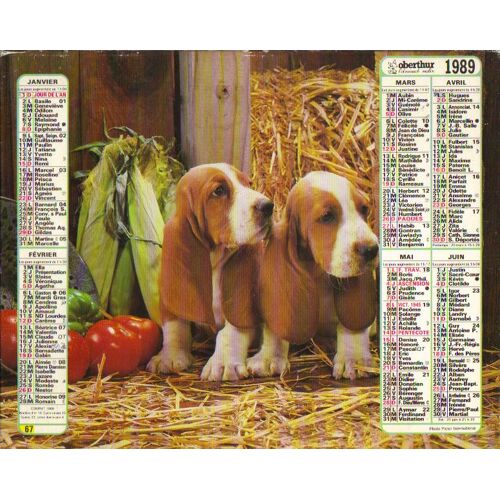 Calendrier / Almanach Des Ptt / Avec Feuillet Interne : Metiers Anciens : Gravures / 1989 / Chiots + Chatons / Couverture Fortement Cartonnee