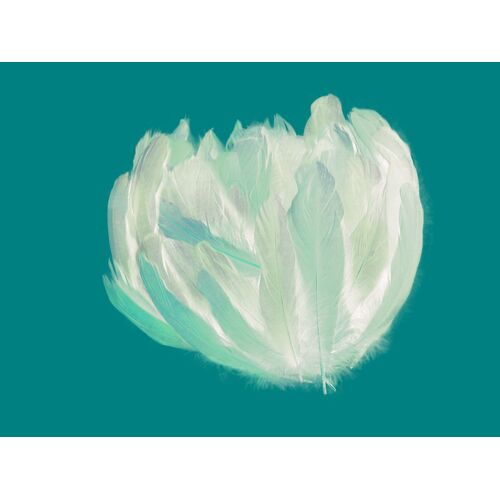 Plumes Nageoire D'oie Dégradé Vert 20g