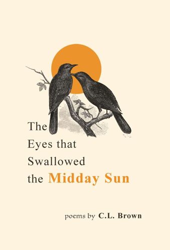 The Eyes That Swallowed The Midday Sun