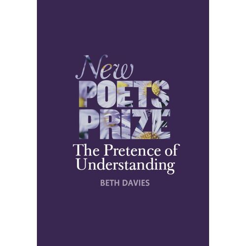 The Pretence Of Understanding