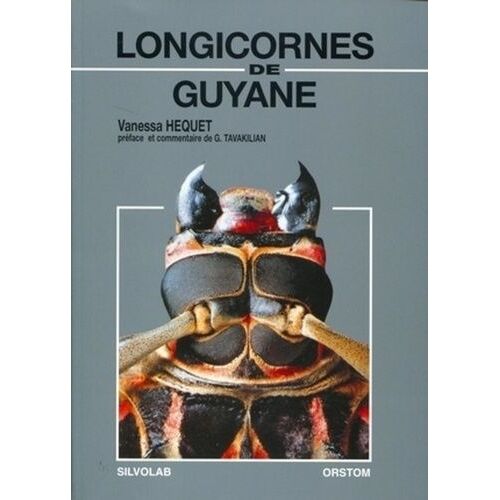 Longicornes De Guyane