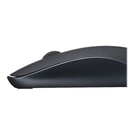 Rapoo 3510 - Souris - optique - 3 boutons - sans fil - 2.4 GHz - gris