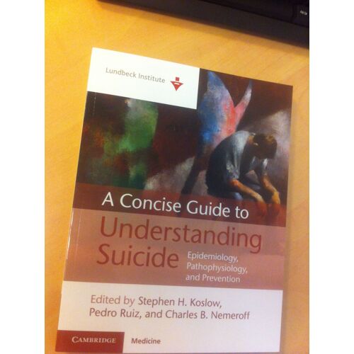 A Concise Guide To Understanding Suicide