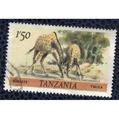 Tanzanie 1985 Oblitéré Rond Used Animaux Sauvages Girafe Giraffa Camelopardalis Su