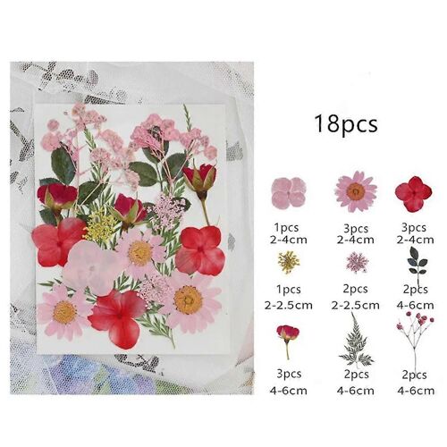 6 Set Fleurs Séchées Pressé Plante Fleur Bougie Résine Époxy Moule Décorer Matériel Paquet Artisanat