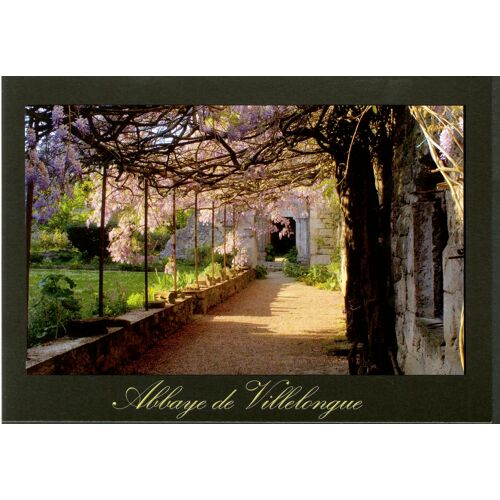 Carte Postale Abbaye De Villelongue, Saint-Martin-Le-Vieil