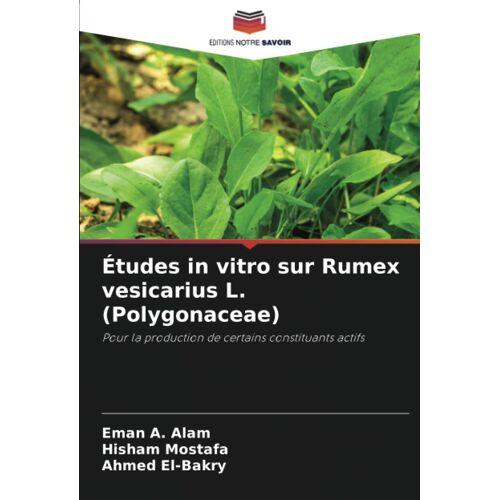 Études In Vitro Sur Rumex Vesicarius L. (Polygonaceae)