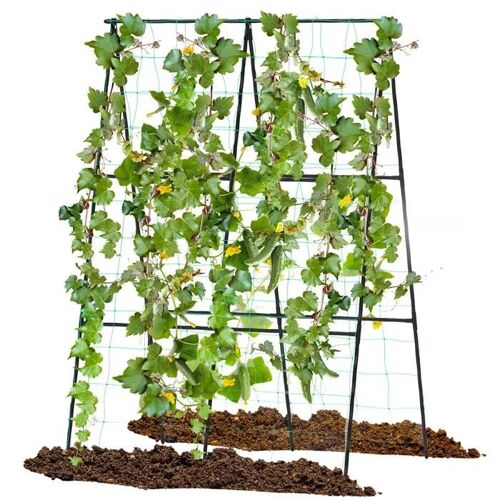Costway Treillis De Jardin Pour Plantes Grimpantes, Avec Filet, Poteaux En Métal Recouvert Pe Antirouille, Pour Vignes Grimpantes