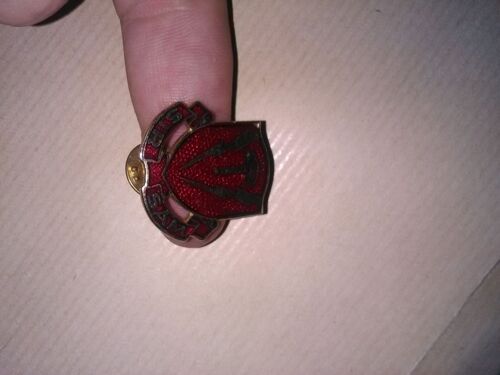 Insigne Us Army, Sir Sam