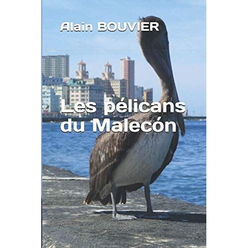 Les Pélicans Du Malecón