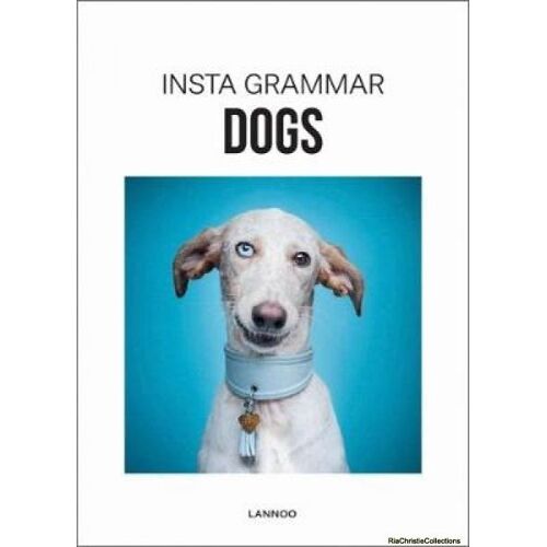 Insta Grammar Dogs