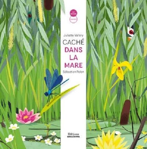 Caché Dans La Mare