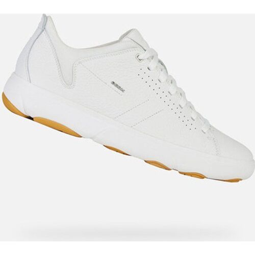 Baskets Geox Nebula Y Blanc