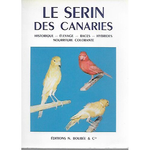 Le Serin Des Canaries