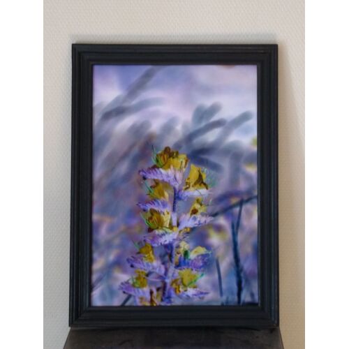 Photographie D'art "L'herbe Mauve"