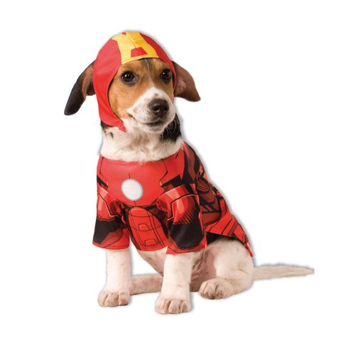 Déguisement Pour Chien Iron Man Medium