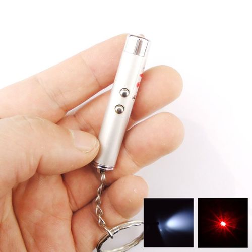 Pointeur Laser Rouge 2-En-1 5mw + Led Blanche Lampe De Poche Keychain - Couleur Aléatoire