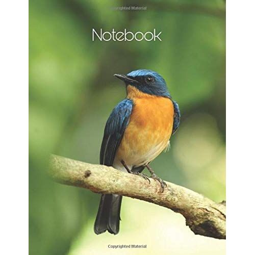 Notebook: Lined Notebook Collegeruled - Bird (Karala) - 120 Pages - Large (8.5x11 Inches) - Vol 04