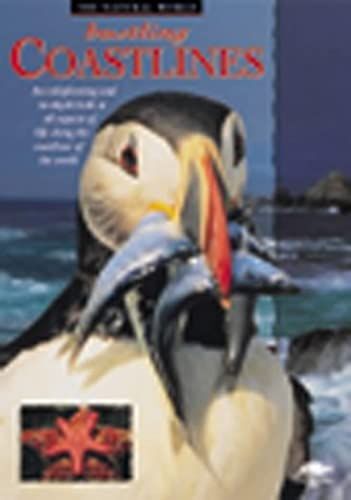 Bustling Coastline (Snapping Turtle Guides: The Natural World)