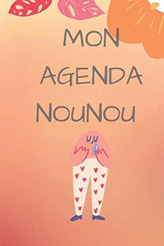 Mon Agenda Nounou: Un Planificateur De Journée, Pour Mieux Organiser La Journée Des Enfants.