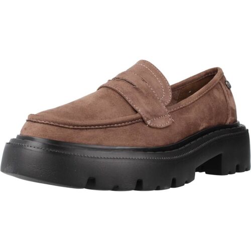 Xti 142118x Colour Marron