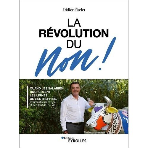 La Révolution Du Non ! - Quand Les Salariés Bousculent Les Lignes De L'entreprise, Assument Leurs Envies Et Décident De Leur Vie