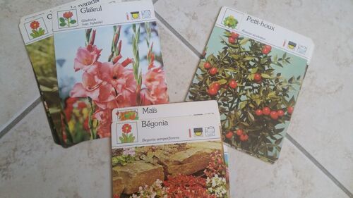 Lot Fiches De Jardinage