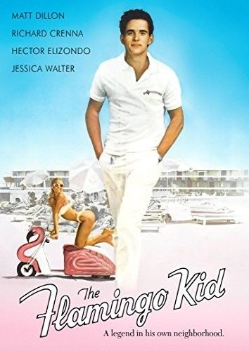 The Flamingo Kid [Dvd]