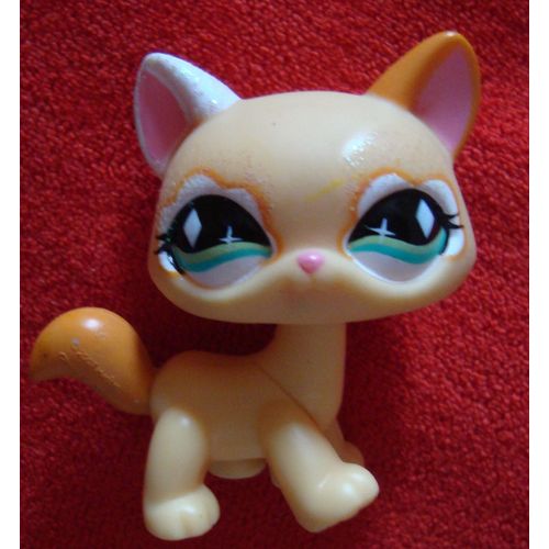 Petshop Chat Maine Coon LPS N°626 Hasbro