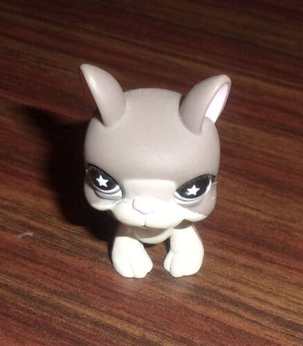 Petshop Chien Boston Terrier N°958