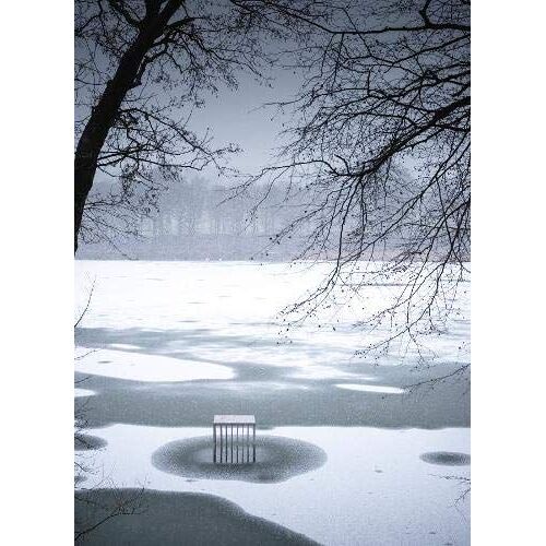 Alfredo Jaar: The Garden Of Good And Evil