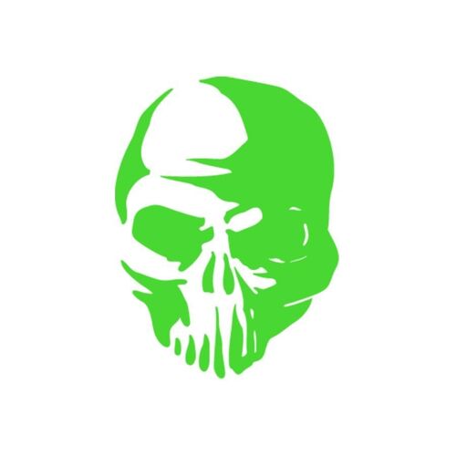Sticker Logo Skull Adhésif Autocollant 21 - Plusieurs Coloris Disponibles Chrome 15 X 20