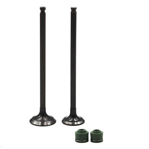 1 Pair Joint D'huile De Moto Pour Honda, Pièces De Moteur De Moto, Tige De Assujet, Cadeau Pour Honda Cbr14, Mc14, 1986, Suzuki Gsx250, 7pipeline, Gsx250f, Across 913, 91-97, Nouveau ""Nipseyteko""