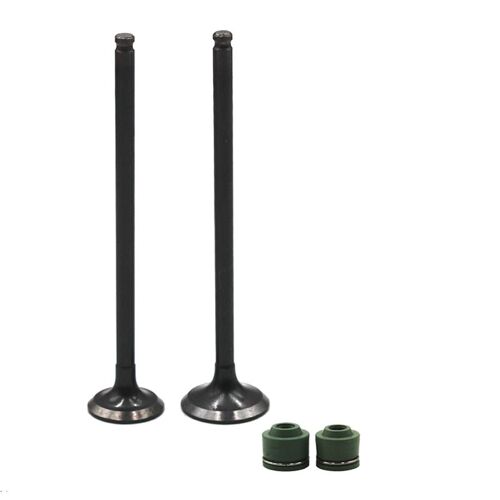 1 Pair Kit De Tige De Soupape D'admission Et D'échappement De Pièces De Moteur De Moto Pour Honda Honda Gsx250 Gj73a Gj74a Gj 73a 74a Gj 73 74 A Tige De Soupape ""Nipseyteko""