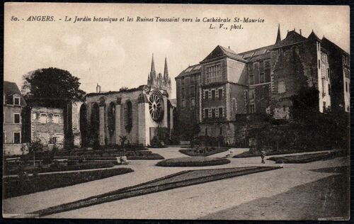 Carte Postale Ancienne, France, Maine Et Loire ( 49 ), Angers, Le Jardin Botanique Et Les Ruines Toussaint Vers La Cathédrale Saint Maurice