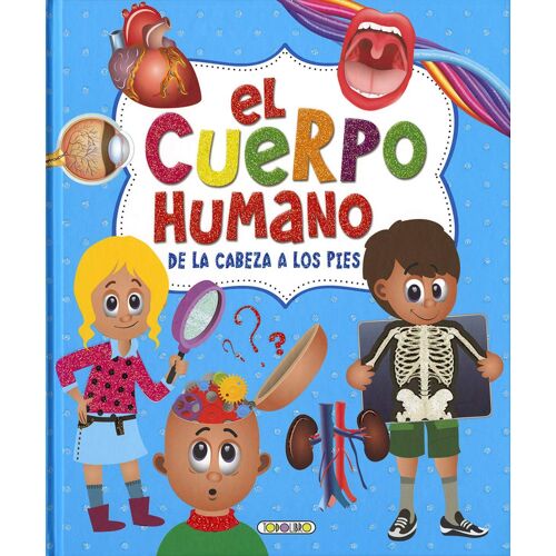 Cuerpo Humano De La Cabeza Los Pies