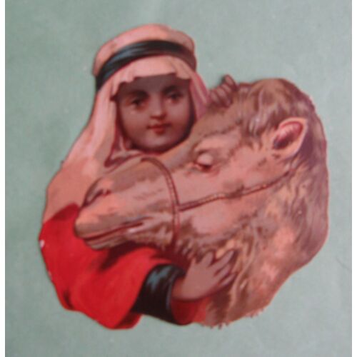 Chromo Découpis - Enfant Et Chameau 7 / 8 Cm
