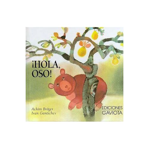 ¡Hola, Oso!