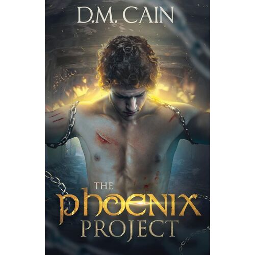 The Phoenix Project