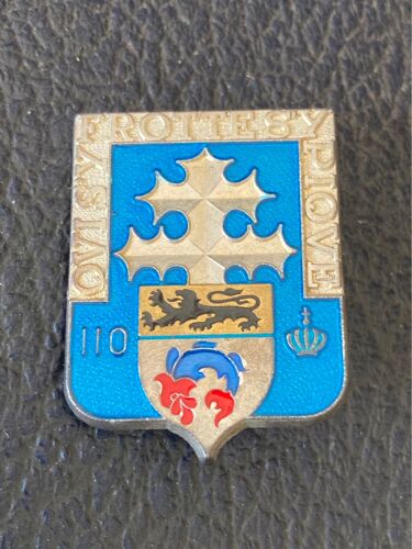 Insigne Prestige 110 Ri / 110eme Régiment Infanterie / Qui S’Y Frotte S’Y Pique