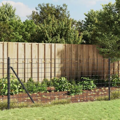 Vidaxl Clôture En Treillis Métallique Anthracite 0,8x25 M