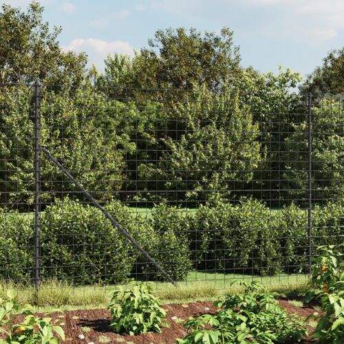 Vidaxl Clôture En Treillis Métallique Anthracite 1,4x25 M