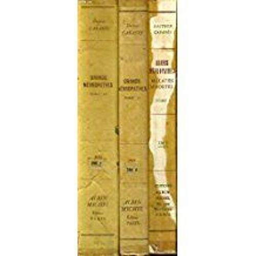 Grands Névropathes, Malades Immortels (Baudelaire, Byron, Chateaubriand, Molière, Pascal, Shelley, Wagner)