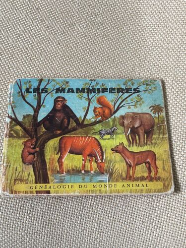 Les Mammifères Généalogie Du Monde Animal Édition Volumetrix 