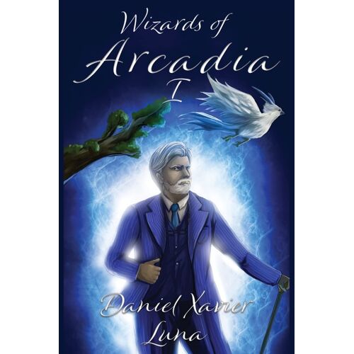 Wizards Of Arcadia 1