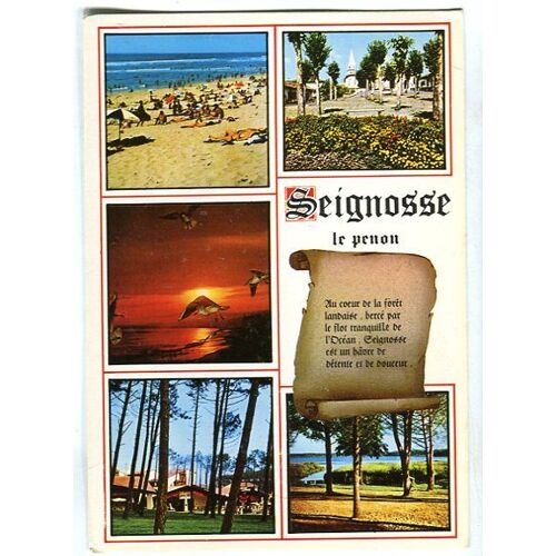 Carte Postale - Différentes Vues - Seignosse Le Penon - Landes - 40