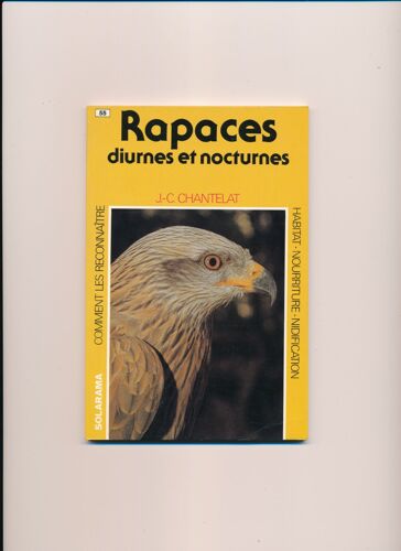 Rapaces Diurnes Et Nocturnes
