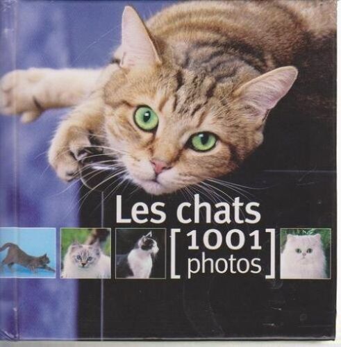 Les Chats : 1001 Photos