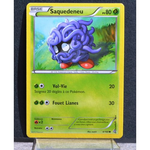 Carte Pokémon 4/160 Saquedeneu Série Xy05 - Primo Choc Neuf Fr